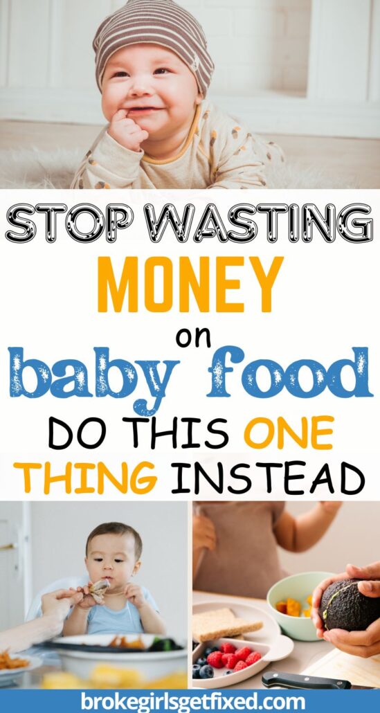 the number one way to save money on baby food.